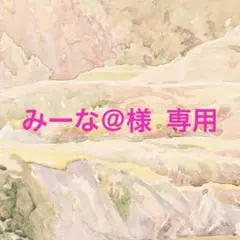専用❗️海外マスキングテープ　Molinta(モリンタ) アイスクリーム　他3点