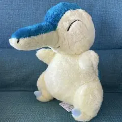 ポケモン なでなでヒノアラシ ぬいぐるみ 2000年レトロ 非売品 - メルカリ