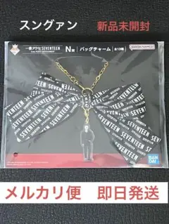 seventeen セブチ　一番くじ　一番アクセ　スングァン　2点セット