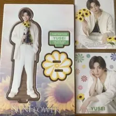 八木勇征 ピクチャーレーベル トレカ アクスタ 八木勇征 Welcome to Sunshine ピクチャーレーベル トレカ - メルカリ