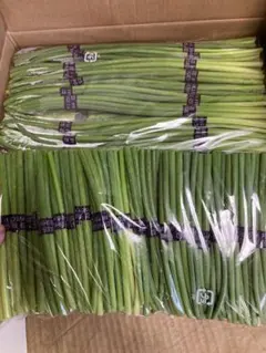 86新鮮野菜、中華ニンニクの芽　蒜苔10束常温発送
