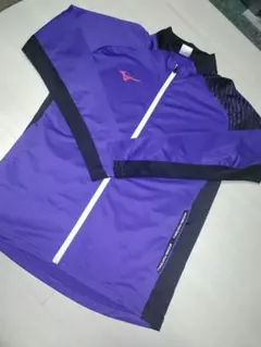 Item thumbnail for item a05bef51-f910-4aa7-a865-ef485368d601