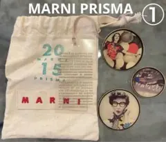2015 MARNI PRISMA ブローチセット② 2026年最新】マルニ ブローチの人気アイテム - メルカリ