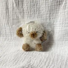 じょせまる ぬいぐるみ　らて　ガチャ