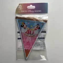東京ディズニーランド 40周年 ガーランド フラッグ