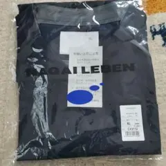 Item thumbnail for item 2c7029fd-4e6c-4224-8f57-2db127ed08bb