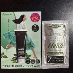 テンスター ヘナ カラートリートメント ソフトブラック 20g 白髪染め 黒色のサムネイル