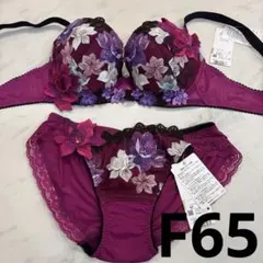 サルート チリ D65/M KO 63 P-upブラ ノーマルショーツ - メルカリ
