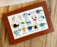 シーグラスアート⭐︎No.441水族館お魚図鑑⭐︎ヒーリング　ギフト　プレゼント