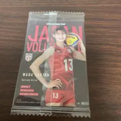 和田由紀子 バレーボール日本代表 トレーディングカード