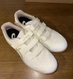 Item thumbnail for item 527b6f8e-1161-4068-9758-a556081761b8