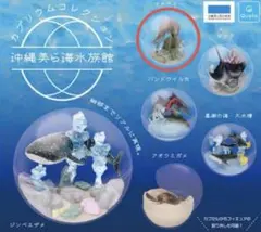 2025年最新】沖縄美ら海水族館カプリウムコレクションの人気アイテム