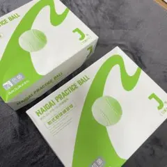 Item thumbnail for item 054abe6b-4a82-4631-bbb3-f867777a7059