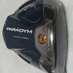 2026年最新】ツアー支給品 パラダイムの人気アイテム - メルカリ