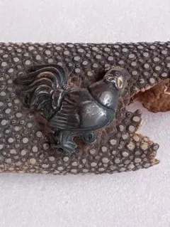 中国産 三葉虫 化石 Oryctocarella & Changaspis 中国産 三葉虫 化石 Oryctocarella & Changaspis - メルカリ