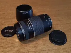 ◇超望遠&高速AF◇Canon純正 90-300mm 超望遠レンズ!!◇ - メルカリ