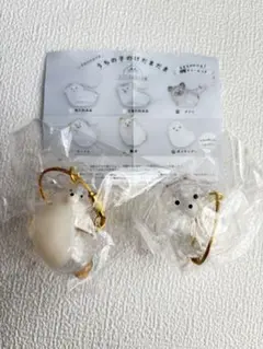 うちの子のけだまだま　犬のけだまだま　柴犬　ポメラニアン