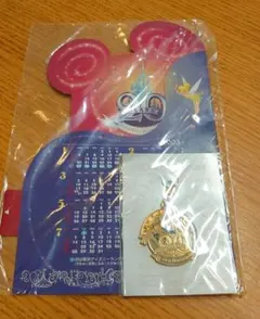 東京ディズニーランド 20周年　チャーム