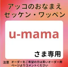 u-mamaさま専用 おなまえゼッケン アイロン接着 №80325