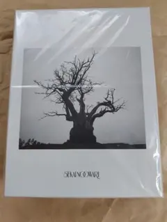 2026年最新】sekai no owari 2010-2019の人気アイテム - メルカリ