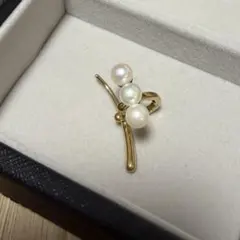 Item thumbnail for item 542701e7-fae0-4394-b491-25530ad11912