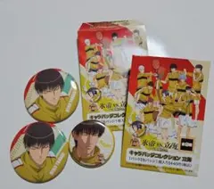 新テニスの王子様　柳蓮二 缶バッジ　氷帝vs立海 キャラバッジ　缶バッジ