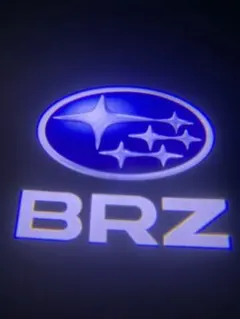 スバル SUBARU BRZ ZC6 カーテシランプ【Z69】のサムネイル