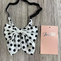 Item thumbnail for item dc9908fd-208a-481d-8b6b-6af2d4228db6