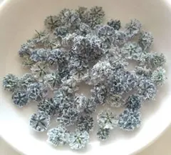 No,349☘️かすみ草のドライフラワー