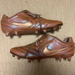 Item thumbnail for item f0cc92cf-adce-454f-9105-009d60455e8c