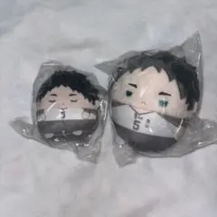 ハイキュー!! くじメイト ぬいくじ てのりんず ふわコロりん 赤葦京治