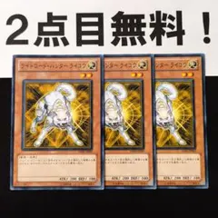 ほちまる@迅速対応、交渉可様 リクエスト 2点 まとめ商品