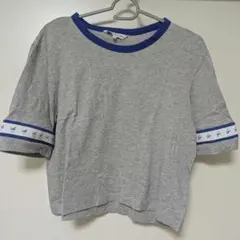Calvin Klein Jeans M グレー クロップドTシャツ