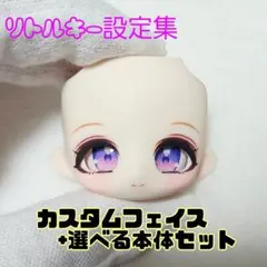 リトルキー設定集　カスタムフェイス+選べる本体