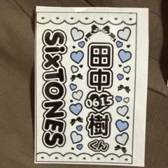 SixTONES 田中樹 ペンライト用ステッカーのサムネイル