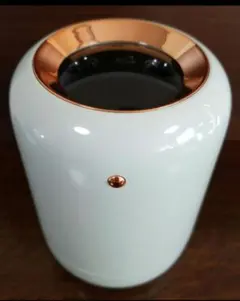 Item thumbnail for item 411fda78-fe4f-4e6b-aa5f-54bef0d20388