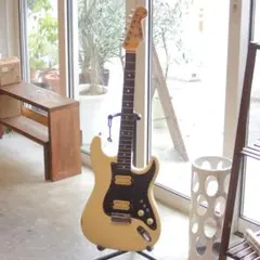 Navigator ESPARTO 1979 エレキギターのサムネイル