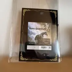 ポケモンセンタースペシャルbox EYESRAIL ローダーUVカット3枚セット