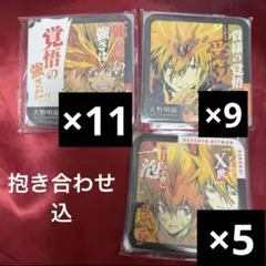 リボーン 綱吉・プリーモ ジャンプフェスタ エンスカイ ブロマイド