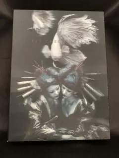 the GazettE LIVE DIVISION DVD 初回限定盤