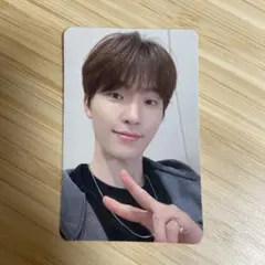 SEVENTEEN sector17 中国ヨントントレカ ディノ