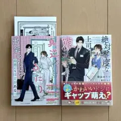 真逆なふたりが出会ったら　/ 絶対零度な上司の隙を見てしまい