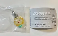 JOCHUM めじるしアクセサリー2 Bira