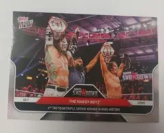 Topps NOW 2025 WWE ハーディーボーイズ