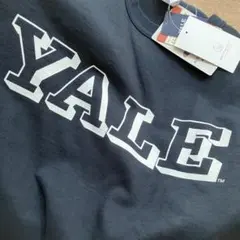 Champion チャンピオン T1011 YALE イェール　USA製