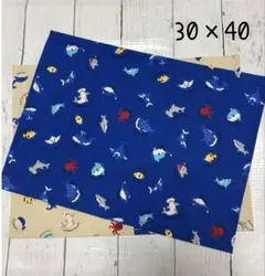 Item thumbnail for item 0615172a-3ae0-441b-ac19-a50225ec3668