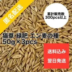[세일] 캣그라스, 캣그라스, 보리씨드 식물 헤어볼 케어, 녹색 비료, 50g x 3개