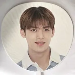 【非売品】SEVENTEEN　ミンギュ　うちわ