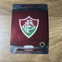 Panini Team Badges フルミネンセ No.11