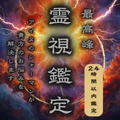となりのトトロ様 リクエスト 2点 まとめ商品